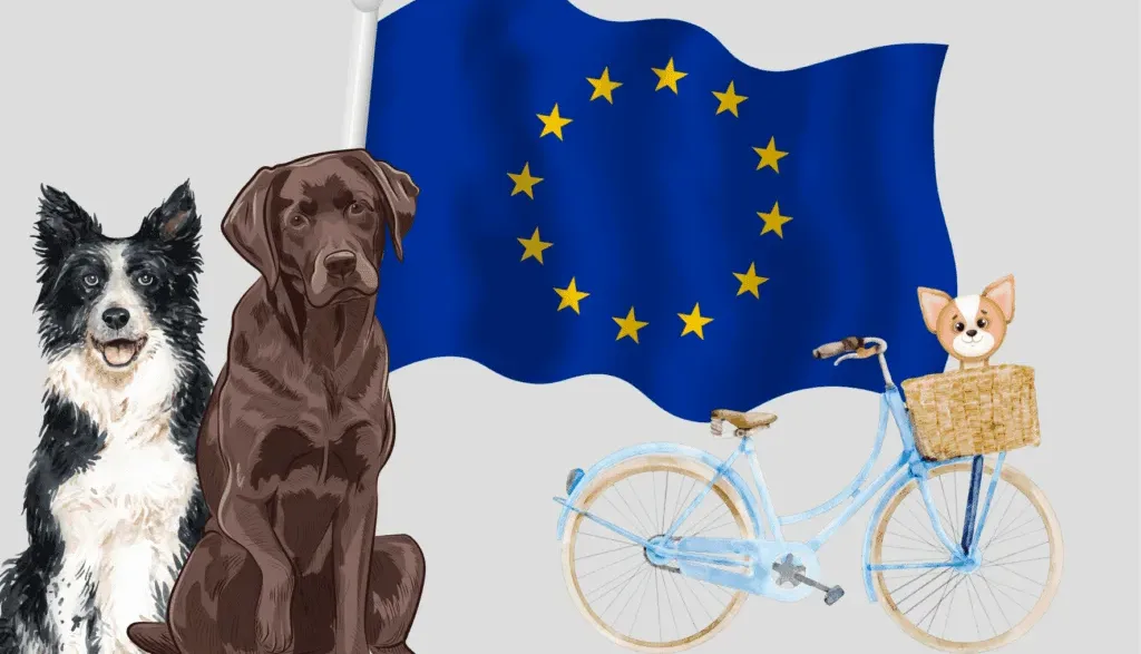 Les règles pour le vélo avec un chien varient selon les pays de l'UE